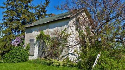 sunny day's on St. Paul - P1020251e.jpg