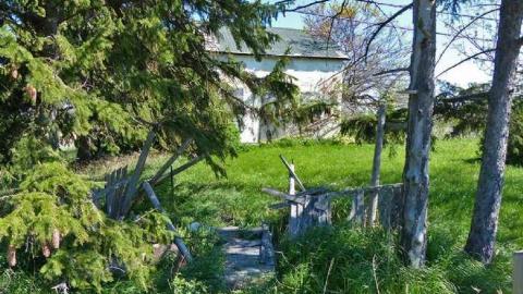 sunny day's on St. Paul - P1020279e.jpg