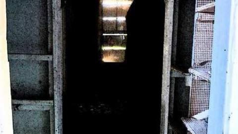 sunny day's on St. Paul - P1020273e.jpg