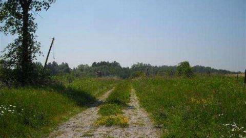 Gallery - House-On-The-Hill40.jpg