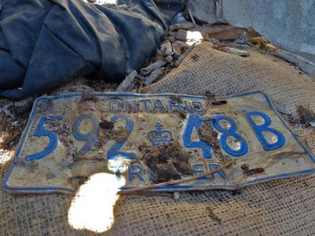 Left to the Raccoons photo 3