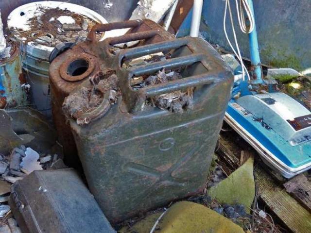 Left to the Raccoons photo 4