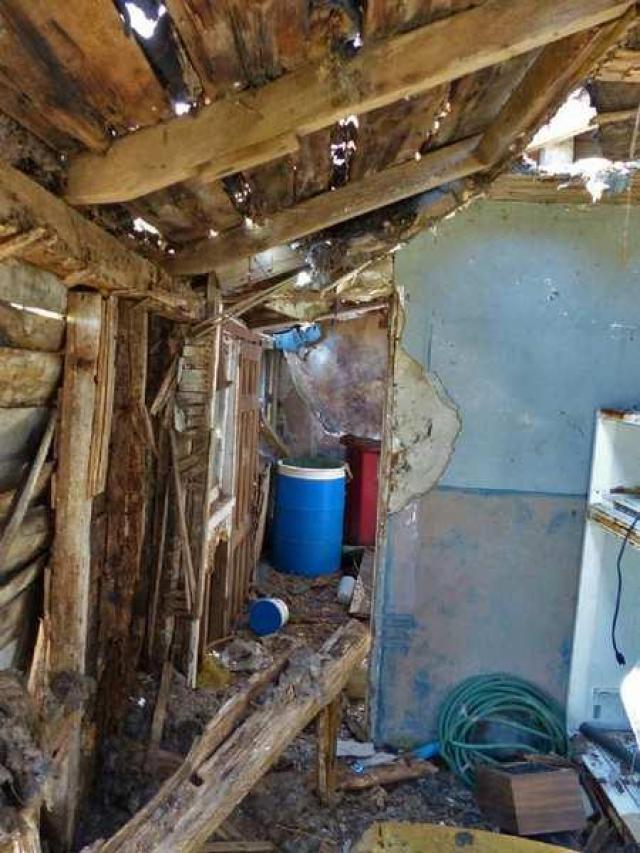 Left to the Raccoons photo 5