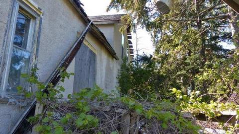 sunny day's on St. Paul - P1020256e.jpg