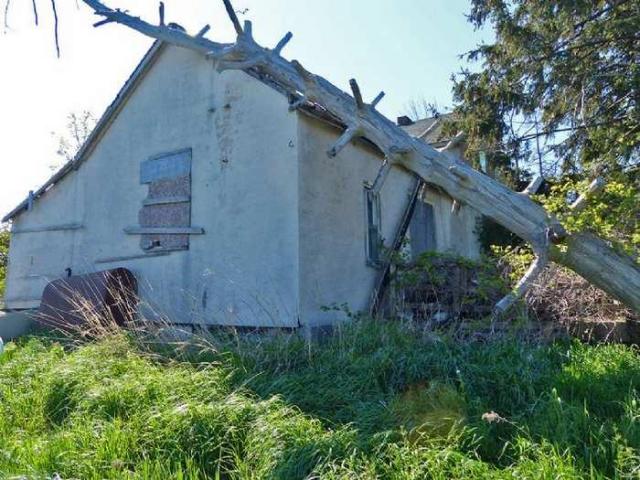 Left to the Raccoons photo 4