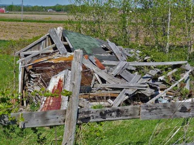 Left to the Raccoons photo 5