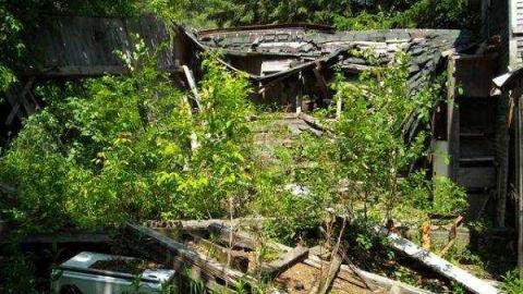 Gallery - House-On-The-Hill46.jpg