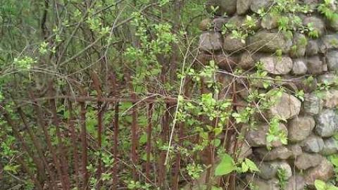 Bring your epipens - WP_000493.jpg