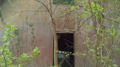 Crescent Beach Edgemere Estate photo 2