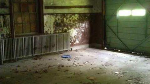 Bring your epipens - WP_000475.jpg