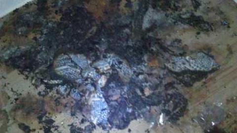 Bring your epipens - WP_000482.jpg