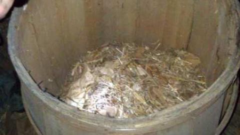 Bring your epipens - WP_000491.jpg