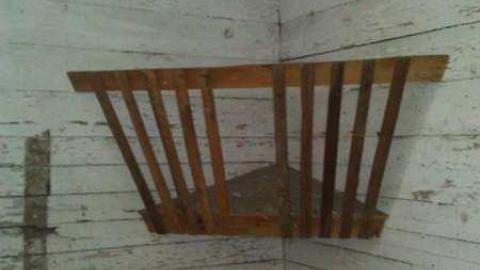 Bring your epipens - WP_000496.jpg