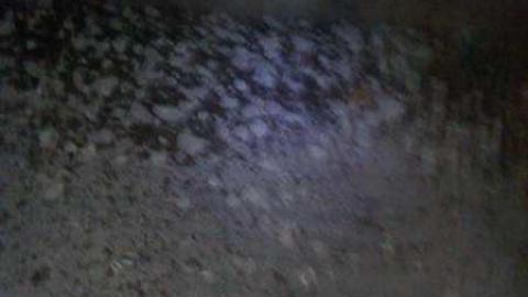 Bring your epipens - WP_000499.jpg