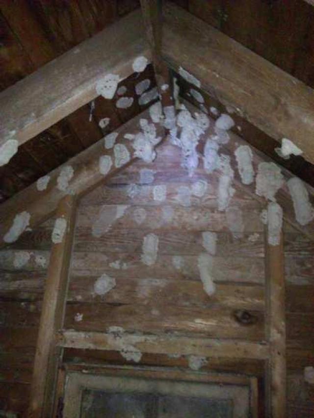 Crescent Beach Edgemere Estate photo 3