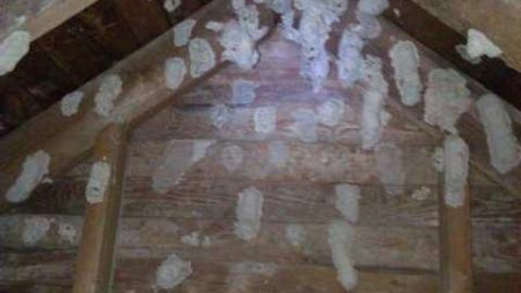 Crescent Beach Edgemere Estate photo 3