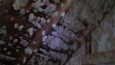 Bring your epipens - WP_000500.jpg