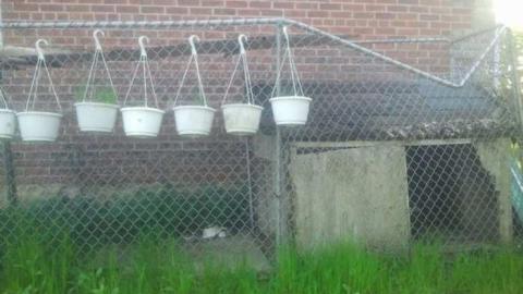 Yep - RussellChristie-House217.jpg