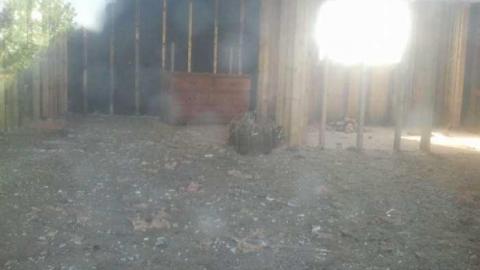 Lovely day - 2013-05-16 17.46.19.jpg