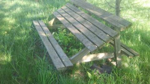 House Beside Farm photo 4