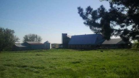 House Beside Farm photo 5