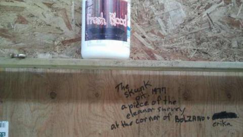 Newley Abandoned On Rymal photo 3