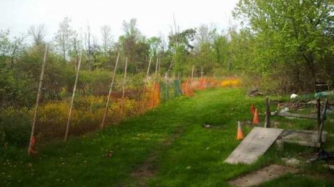 Newley Abandoned On Rymal photo 2