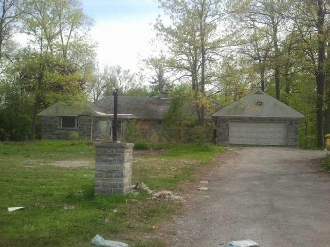 the squirrel is watching - 2013-05-17 16.31.53.jpg