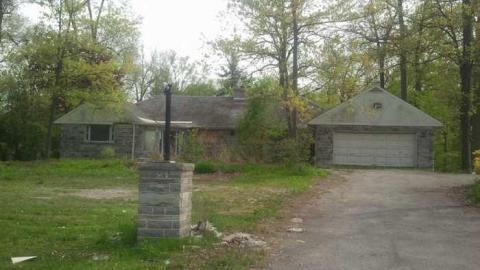 the squirrel is watching cover photo