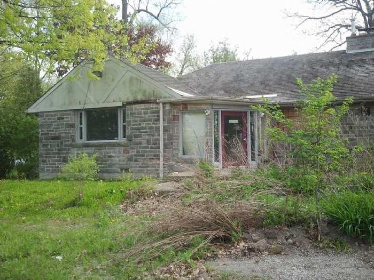 the squirrel is watching - 2013-05-17 16.32.38.jpg