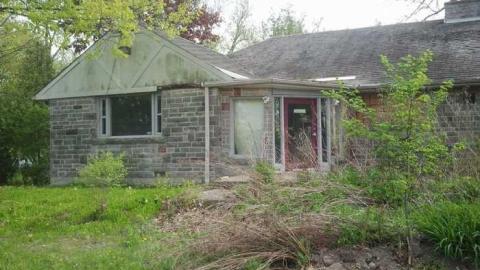 Photo from the squirrel is watching