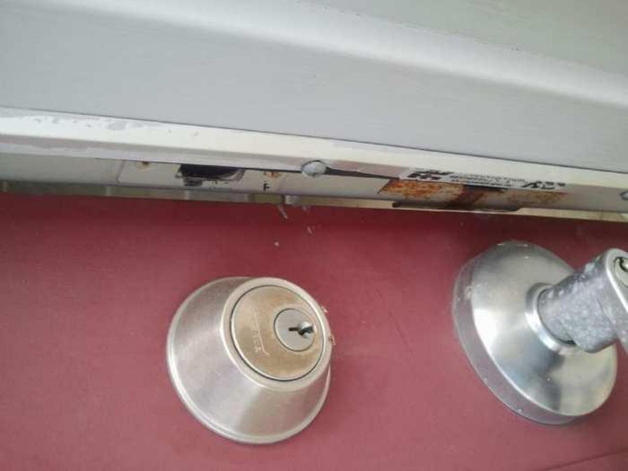 the squirrel is watching - 2013-05-17 16.33.11.jpg