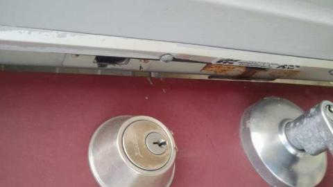 Photo from the squirrel is watching