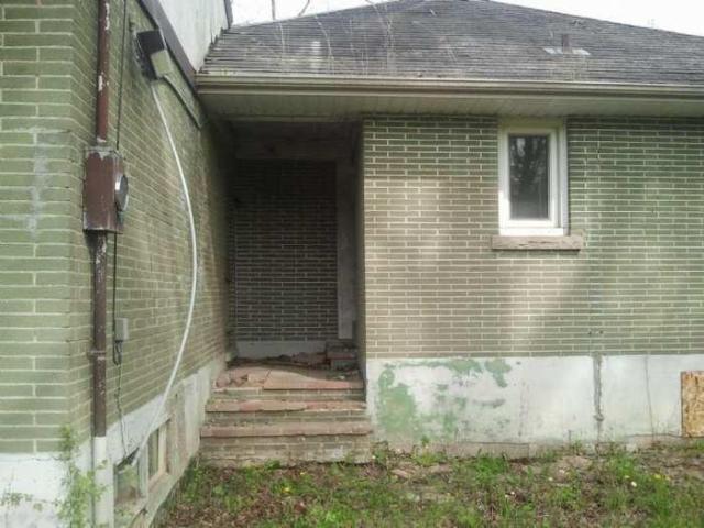 the squirrel is watching - 2013-05-17 16.34.23.jpg