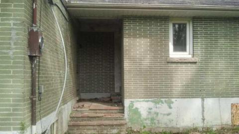 the squirrel is watching - 2013-05-17 16.34.23.jpg