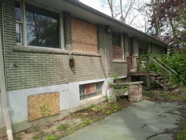 the squirrel is watching - 2013-05-17 16.34.35.jpg