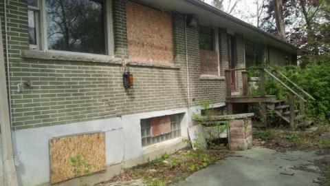 the squirrel is watching - 2013-05-17 16.34.35.jpg