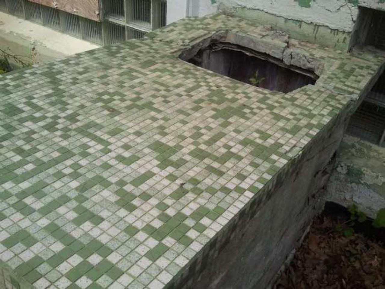 the squirrel is watching - 2013-05-17 16.34.47.jpg