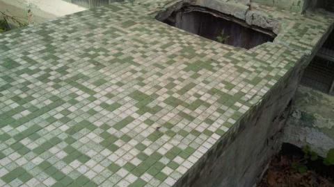 the squirrel is watching - 2013-05-17 16.34.47.jpg