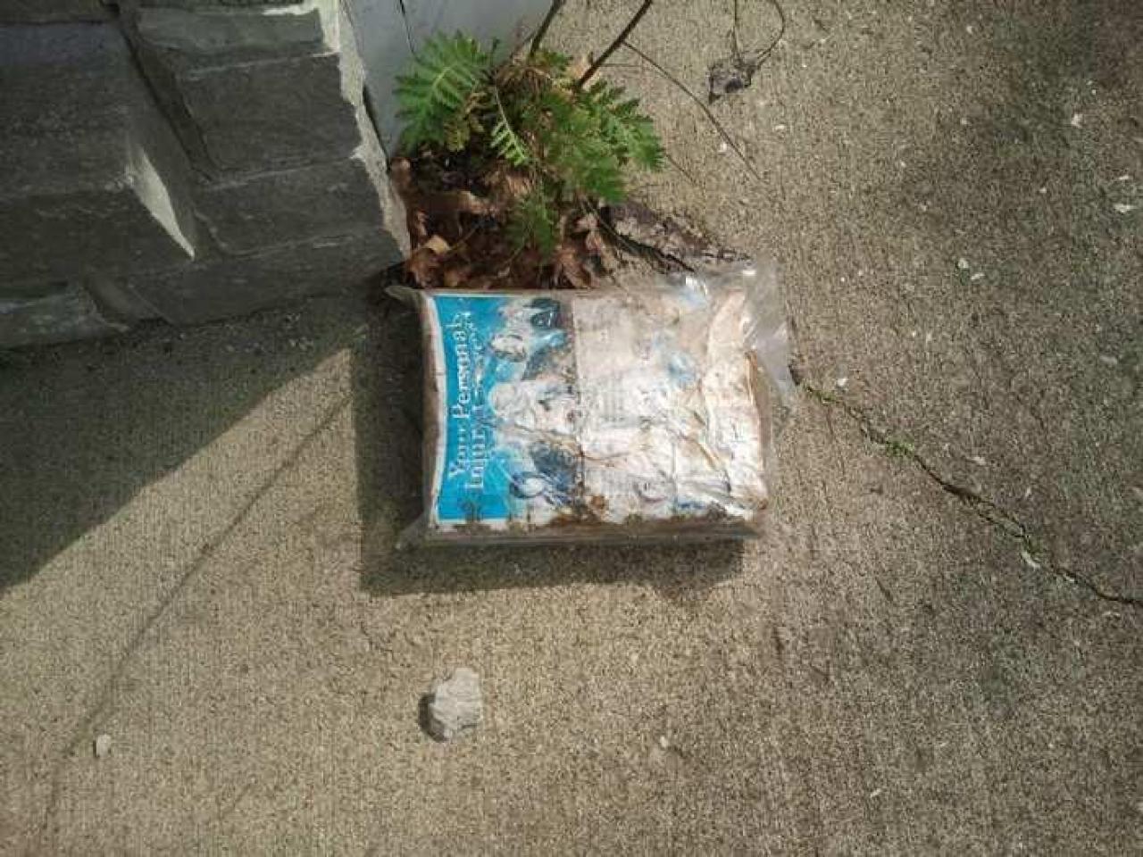 the squirrel is watching - 2013-05-17 16.35.52.jpg