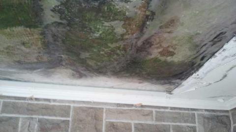 the squirrel is watching - 2013-05-17 16.36.08.jpg