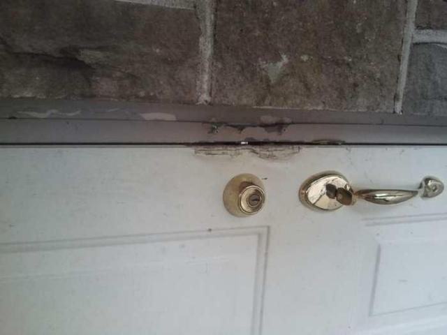 the squirrel is watching - 2013-05-17 16.36.14.jpg