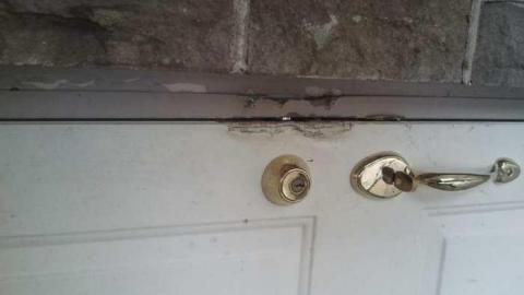 the squirrel is watching - 2013-05-17 16.36.14.jpg