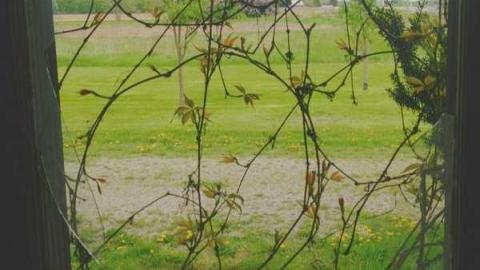 I'm mister lonely - Abandoned-at-Sunset74.jpg