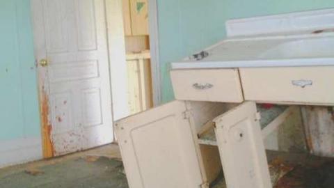 Photo from I'm mister lonely