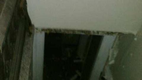 Edgar House - Old-Barrie-Road79.jpg