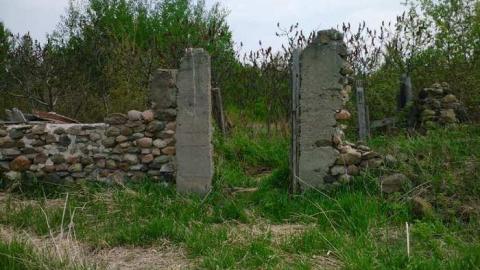 Photo from Josephine