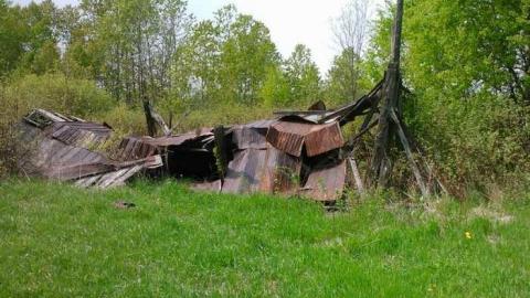 Photo from Josephine