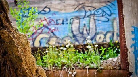 May 2013 - Barber-Paper-Mill--Georgetown550.jpg