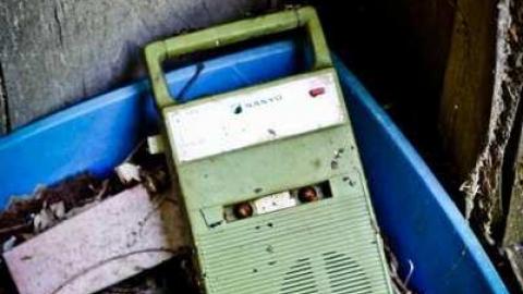 Churchill #4 - IMG_7416.jpg